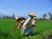 Arbeitsvertr&auml;ge-China-Arbeitsrecht